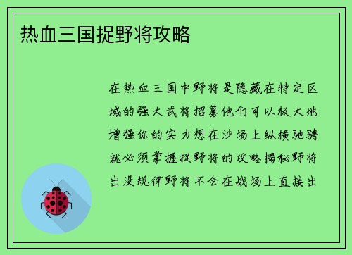 热血三国捉野将攻略