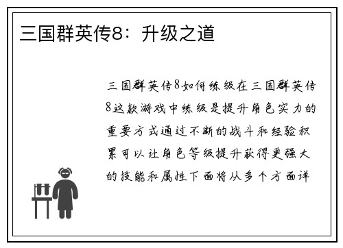 三国群英传8：升级之道